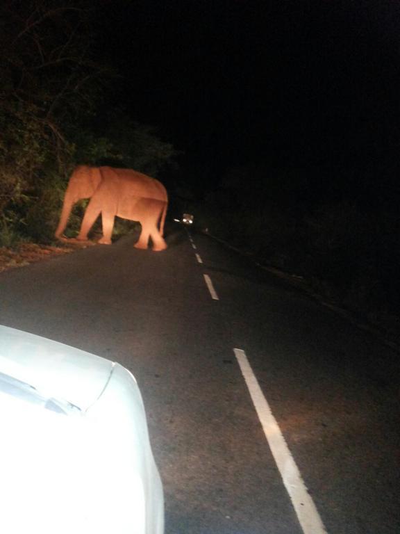 Oak Valley Resorts Kotagiri Luaran gambar
