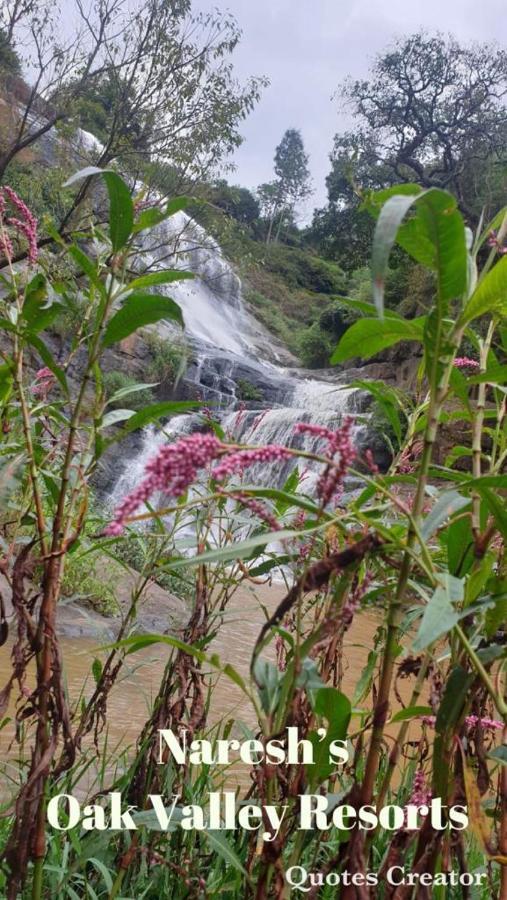Oak Valley Resorts Kotagiri Luaran gambar
